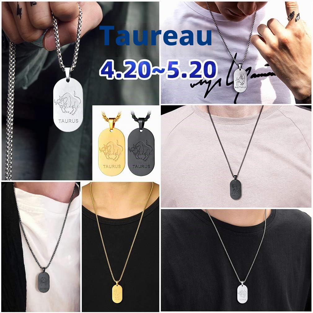FaithHeart Collier Signe Astrologique Homme Femme Noir Acier Inoxydable,Pendentif Plaque Militaire Zodiaque avec Chaîne Réglable