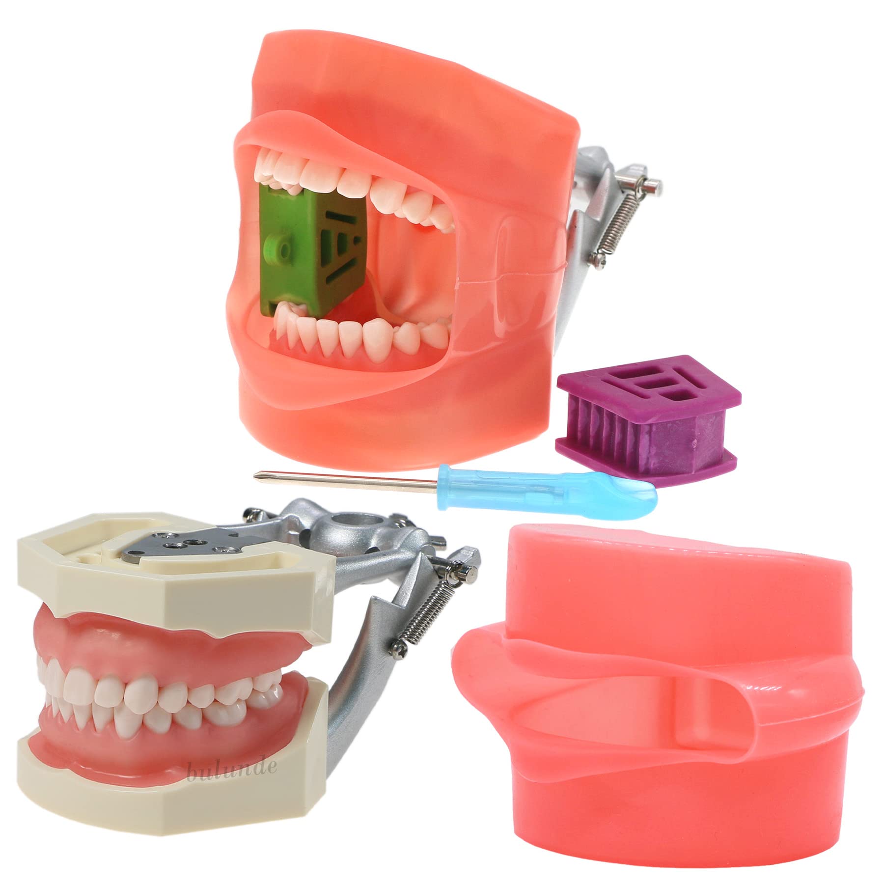 Dientes Reposición Tipo para Fantoma dental compatible con Kilgore Nissin 200 en