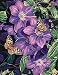 Dimensions Clematis and Butterflies Paint by Numbers for Adults, 11'' W x 14'' L