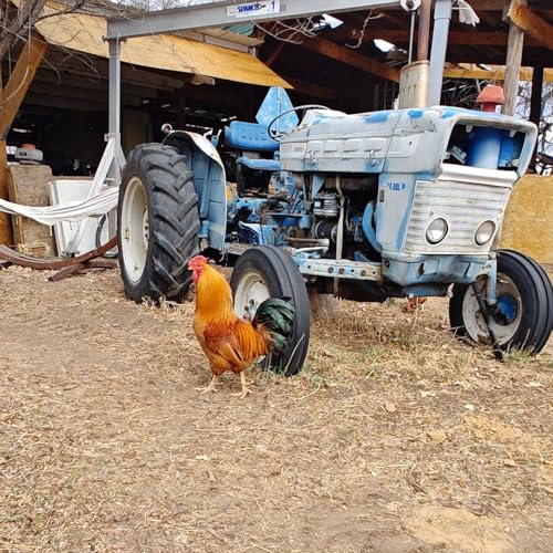 054 Hep Ingham on the Boulder Municipal Airport