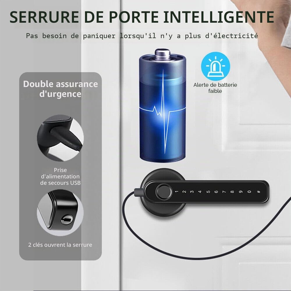 Serrure de porte intelligente à empreintes digitales avec poignée de clavier pour maison, appartement, bureau, porte d'entrée, chambre à coucher, serrure de porte d'entrée sans clé