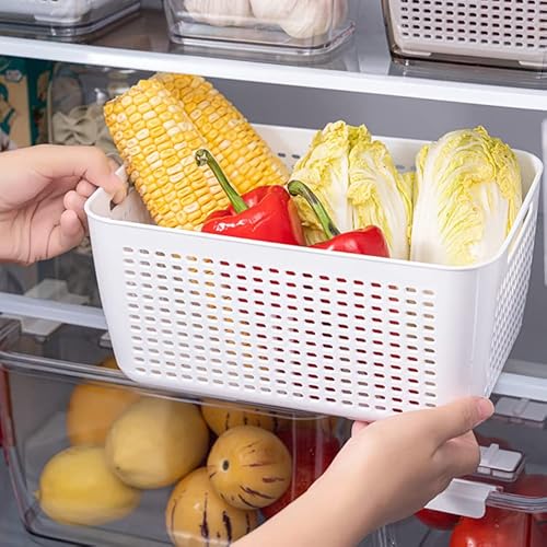 Spesh Set of 3 Fresh Food Storage Containers(5.8 L + 4 L + 2 L) Vegetable Crisper Boxes Plastic Fridge Storage Organisers with Lid and Vent(White) - Image 6
