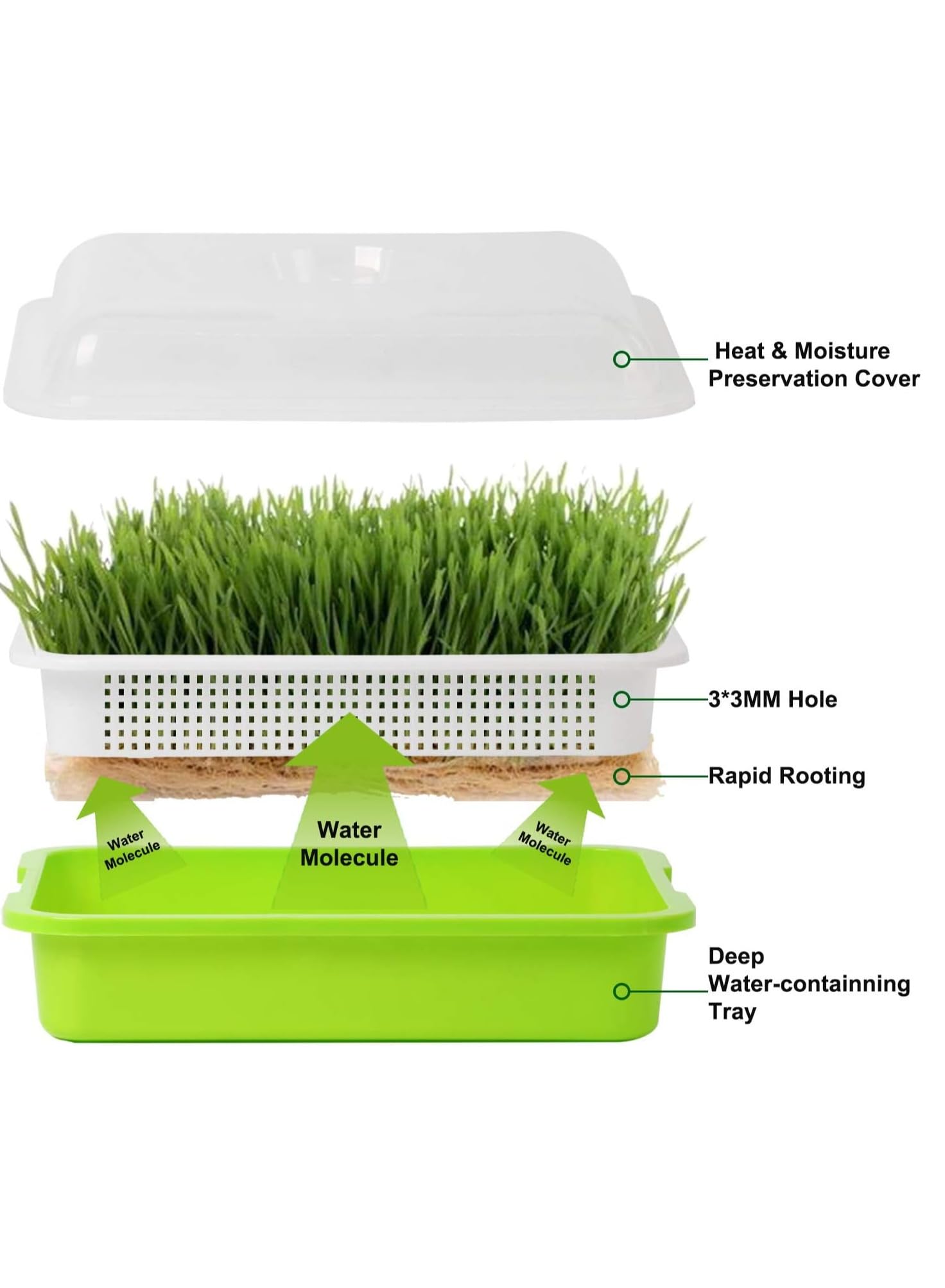 Vsell24™ Seed Sprouter Tray with Lid