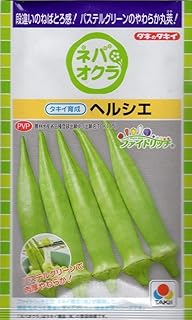 Amazon Co Jp タキイ種苗 種 種 苗 Diy 工具 ガーデン