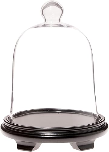 Plymor Zuecos de cristal con forma de campana de 10.0 x 13.1in, base de madera negra (tamaño interior de 9.6 x 10.4in)