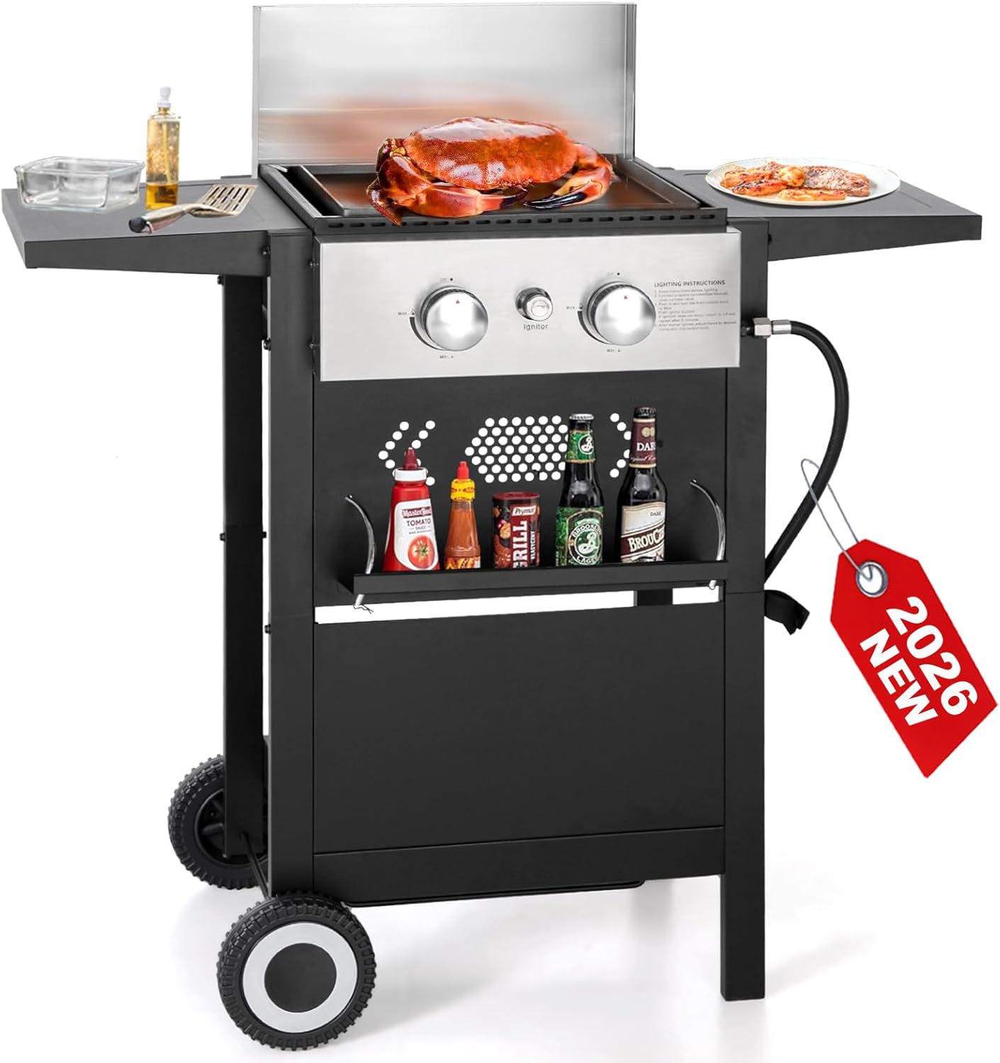 GREEN PARTY 2 Burner Griddle Grill Combo, 2 in 1 Propane Gas BBQ Grill w/Cast Iron Plate, 20,000 BTU Output Small Flat Top Propane Barbecue Grill for Camping, Patio, Backyard, Balcony