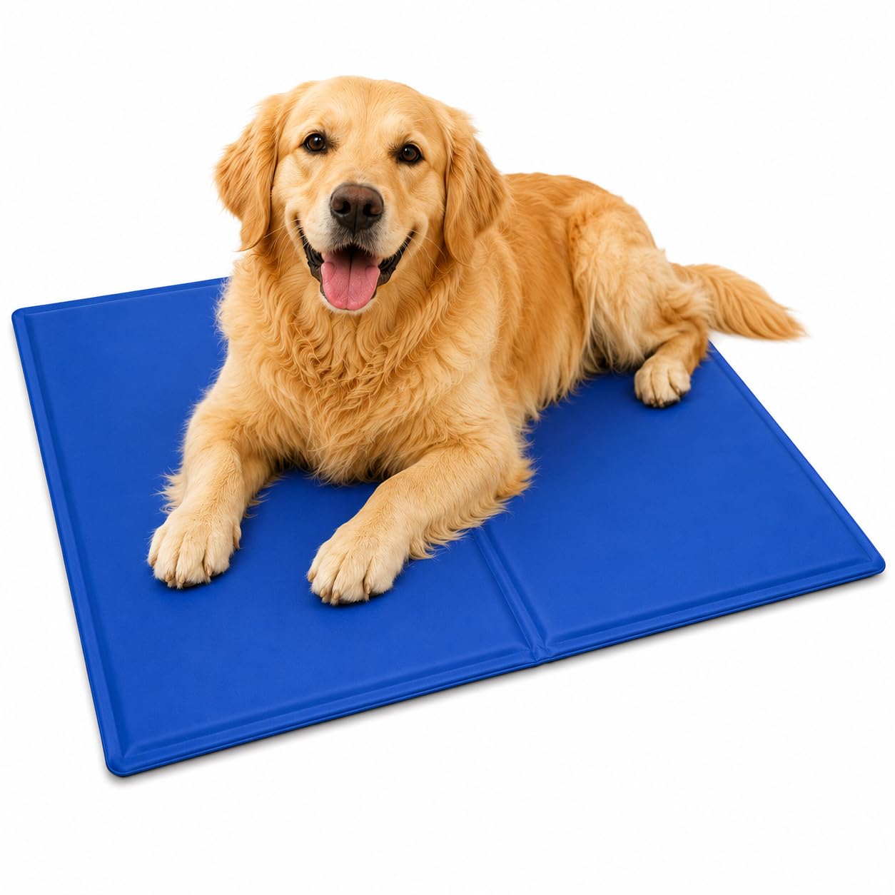 Generise Dual Sided Non-Toxic Wipe Clean Pet Cooling Gel Mat - Suitable for Small Dogs and Cats 50cm x 40cm - Blue