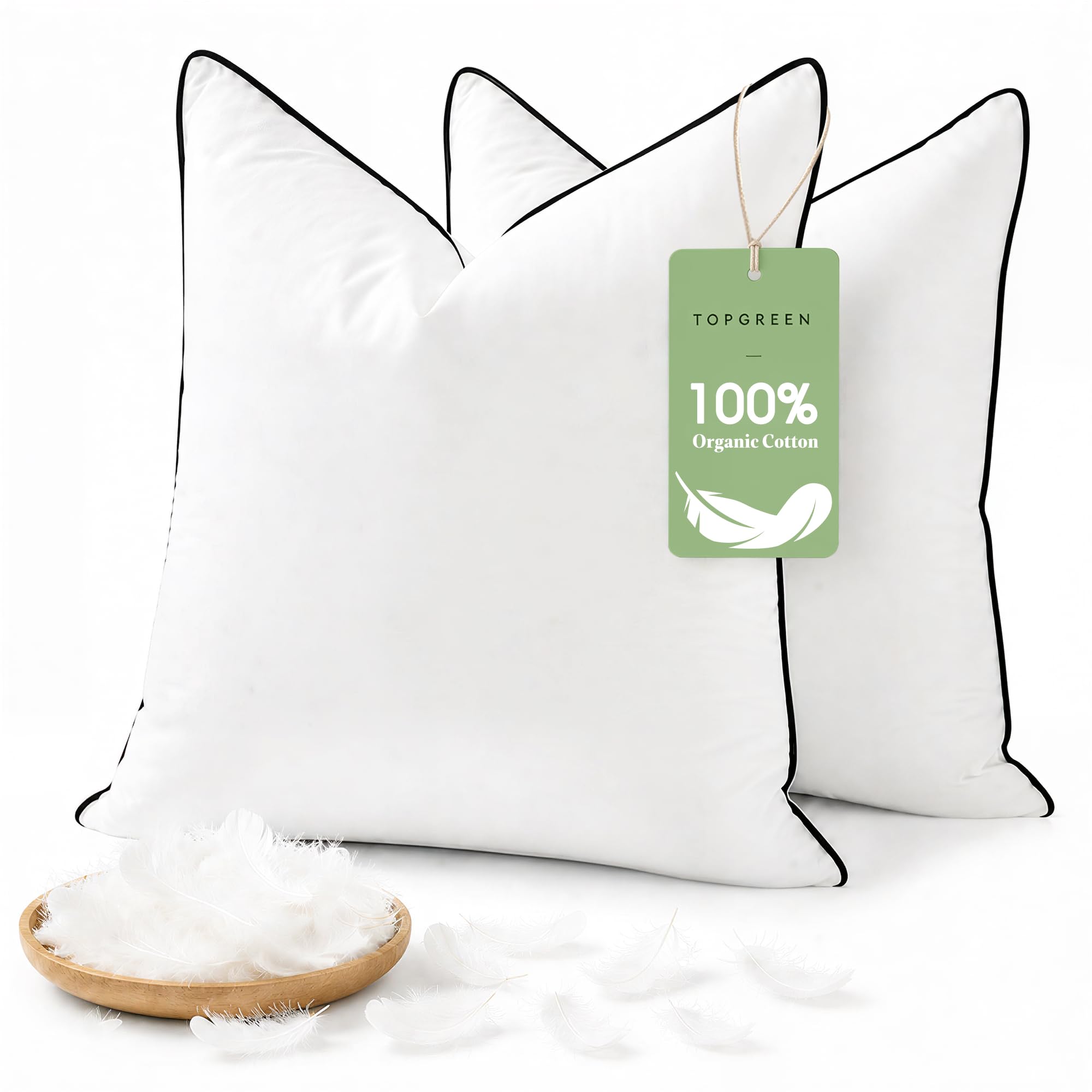 Photo 1 of TOPGREEN Organic Feathers Down Pillow Insert 18x18, Pack of 2