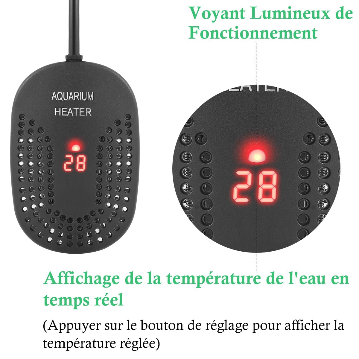 Mini Chauffage pour Aquarium 50W 100W, Chauffage Réglable pour Aquarium avec Contrôleur de Température Externe, Chauffage Incassable pour Poissons et Tortues, Eau Douce et Eau Salée (100W)
