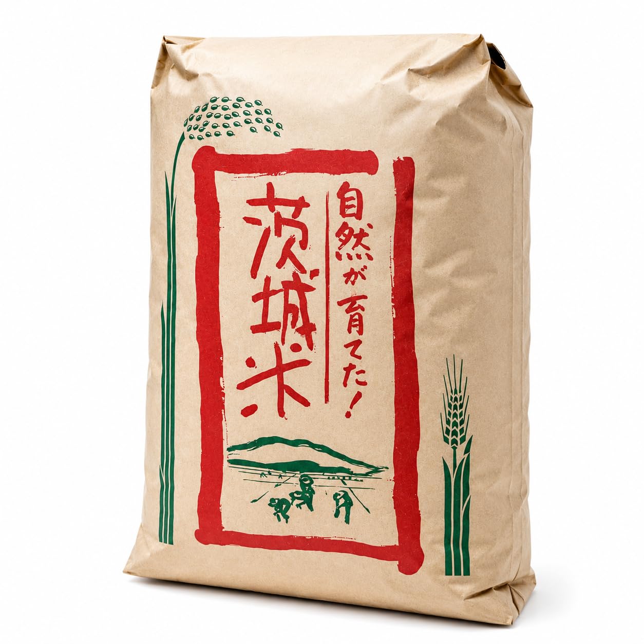 Amazon.co.jp: 新米 令和8年産 茨城県産 コシヒカリ 30kg 玄米 単一