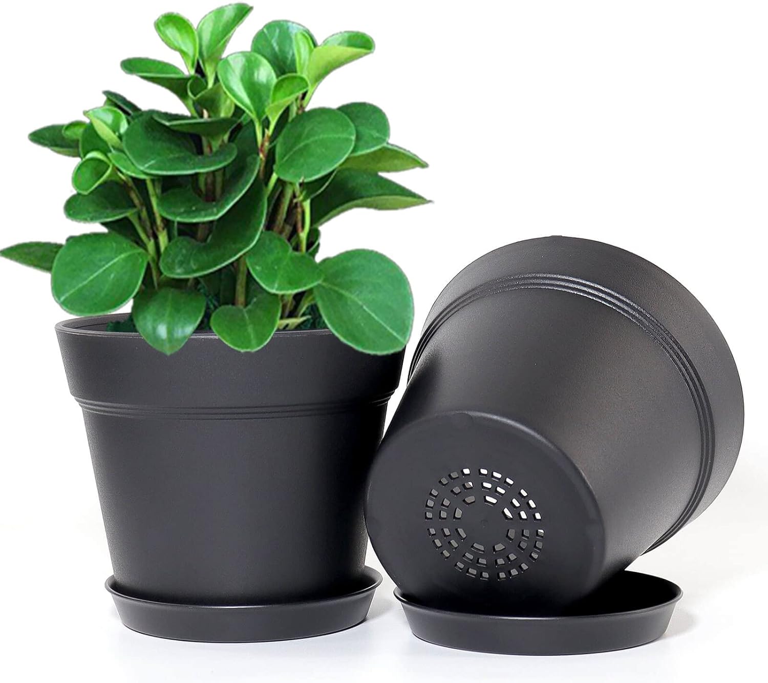 WOUSIWER 16 Pack 6 inch Plastic Planters for Indoor Flower Pots, Heavy Duty and Stylish 6 Inch Plant Pots for Indoor Plants with Drainage Holes and Tray for Plants, Flowers, Black - Image 2