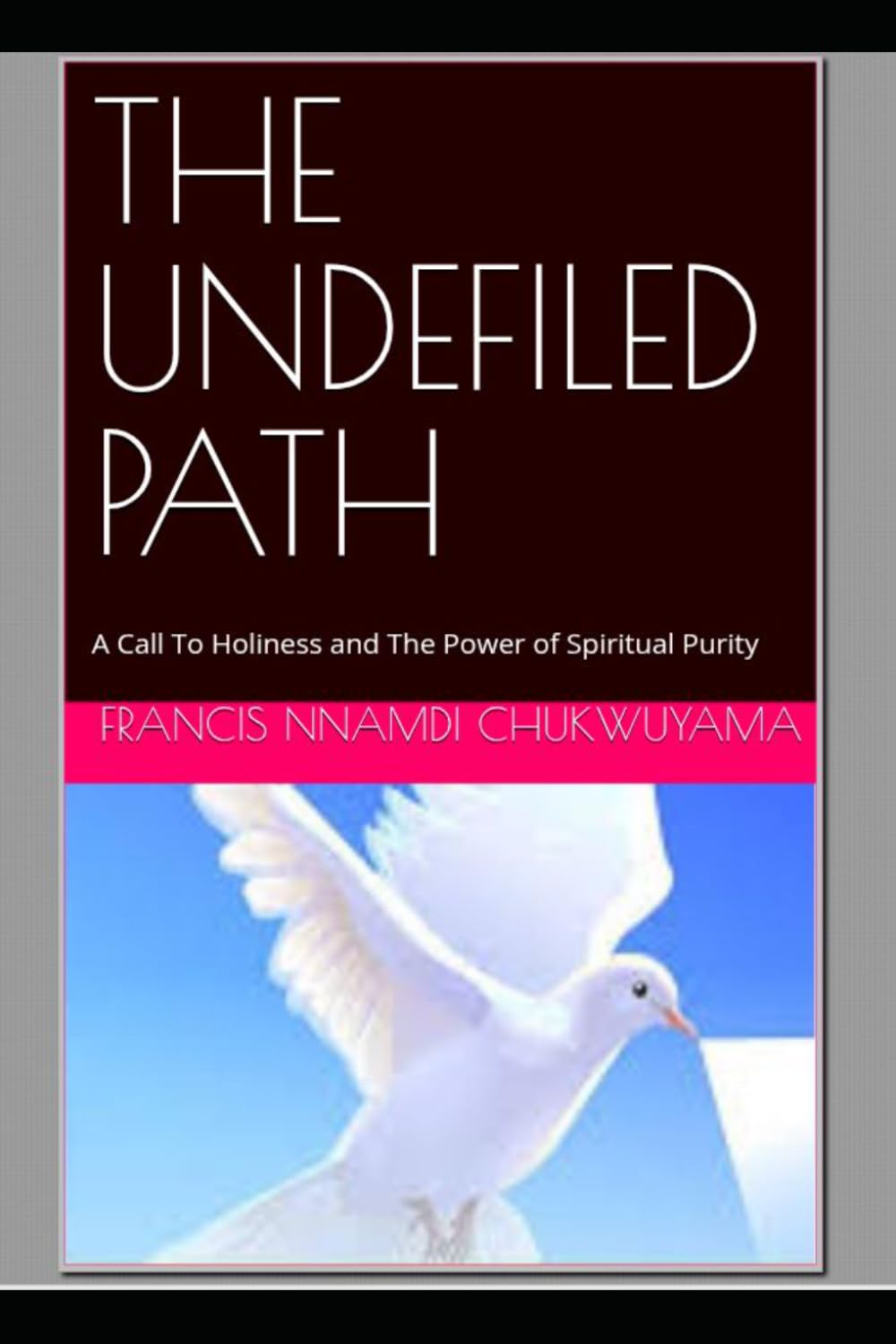 THE UNDEFILED PATH: A Call To Holiness and The Power of Spiritual Purity
