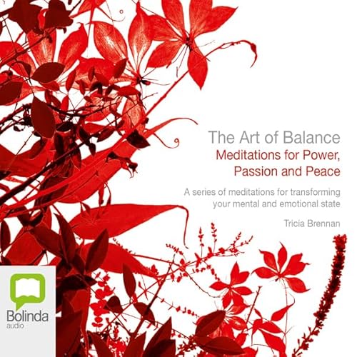 The Art of Balance Audiolivro Por Tricia Brennan capa