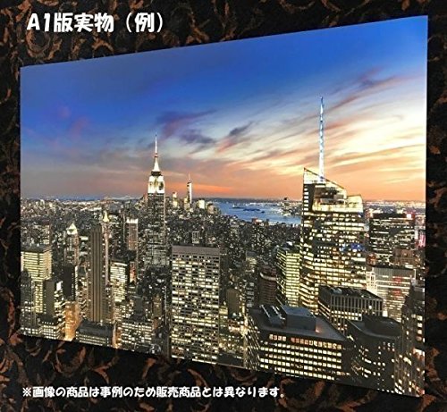 Amazon.co.jp: アルフォンス ミュシャ 夢想 アップ 1898年 堺市蔵 絵画