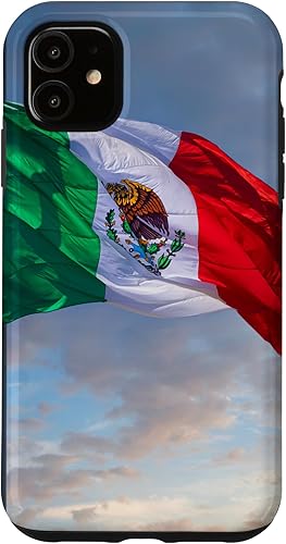 Funda para iPhone 11 con diseño de bandera de México