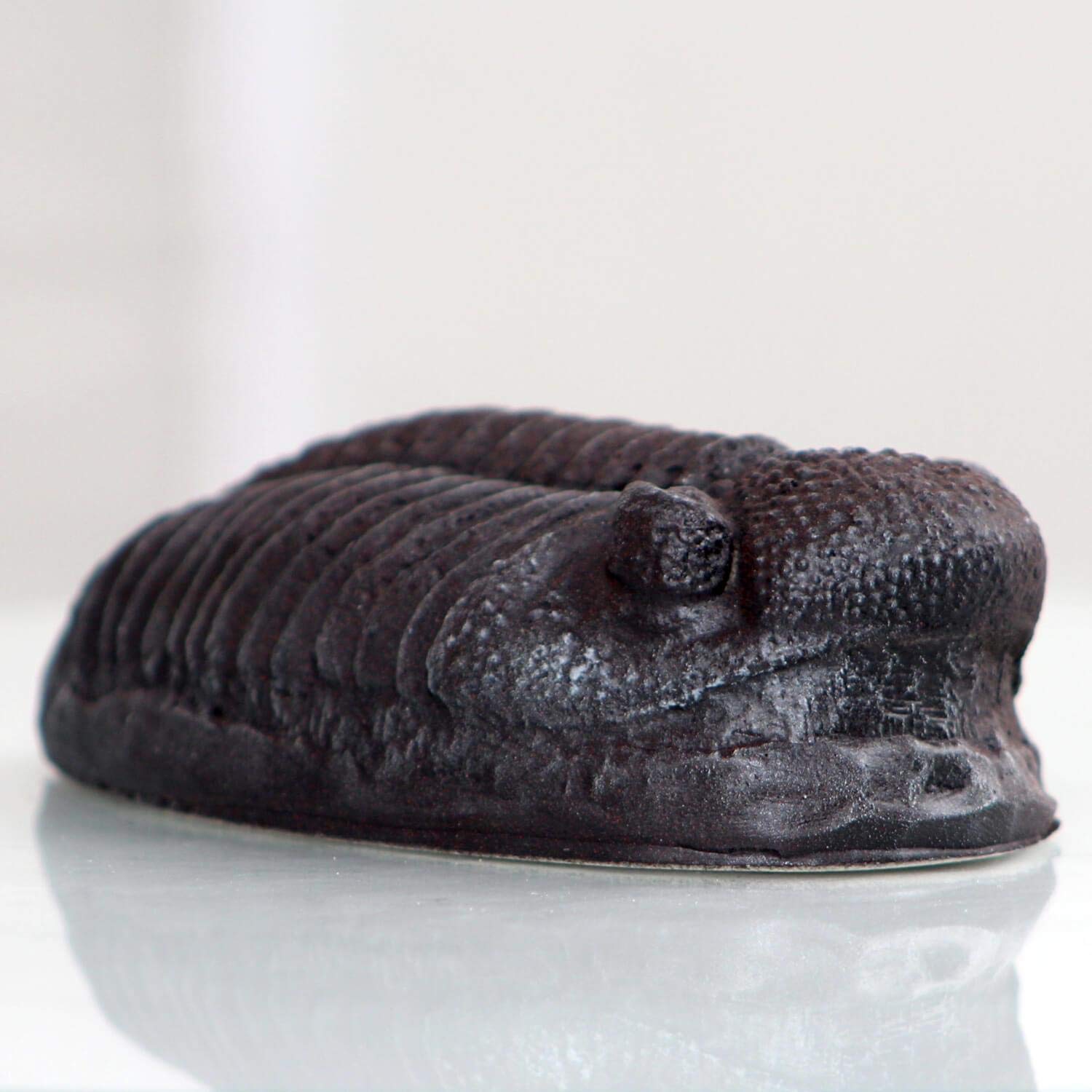 MR Trilobite Magnet Fossil Replica