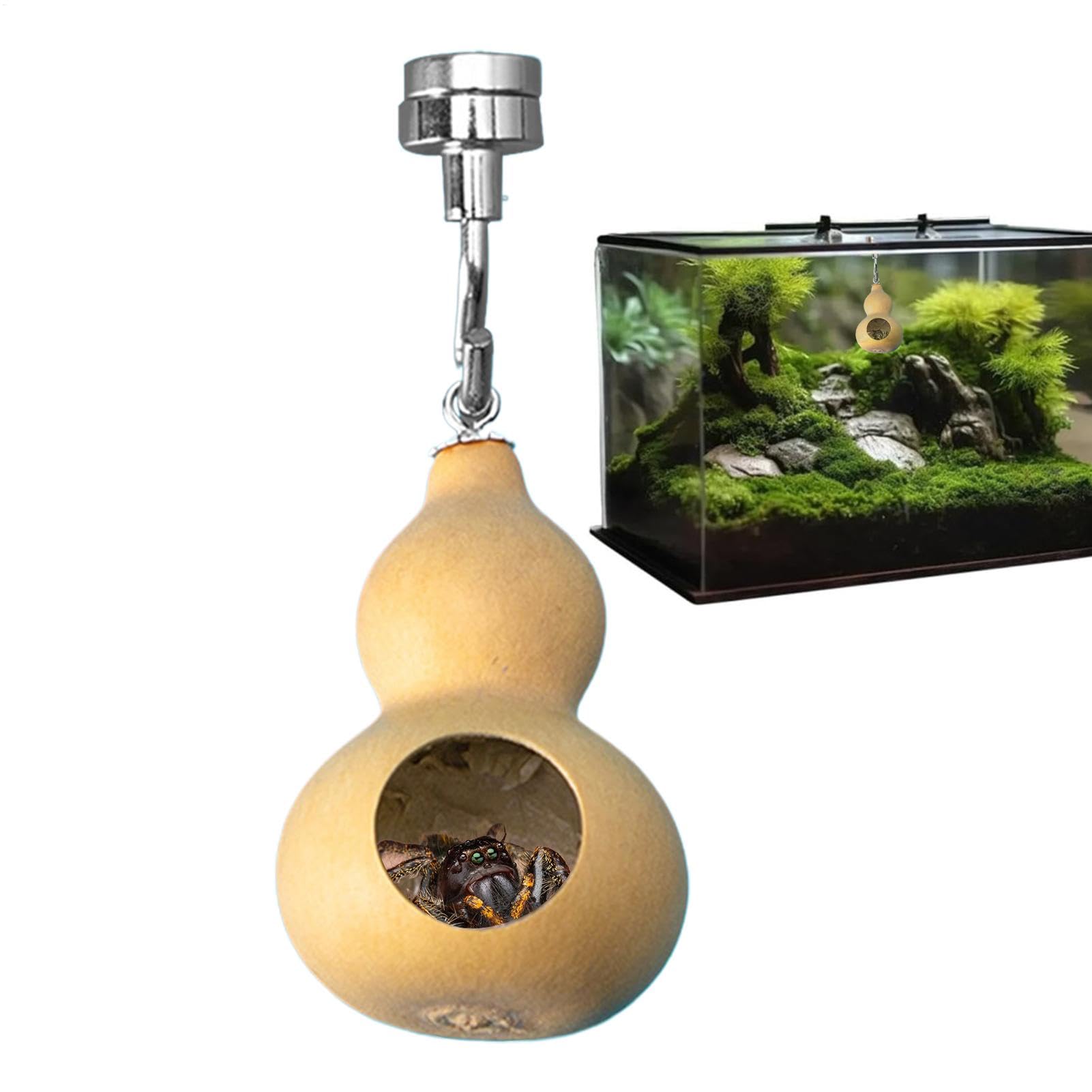 DAWCBVJQ Jumping Spider House | Natural Gourd Jumping Spider Enclosure With Magnetism,Jumping Spider Enclosure Accessories Natural Gourds For Jumping Spiders