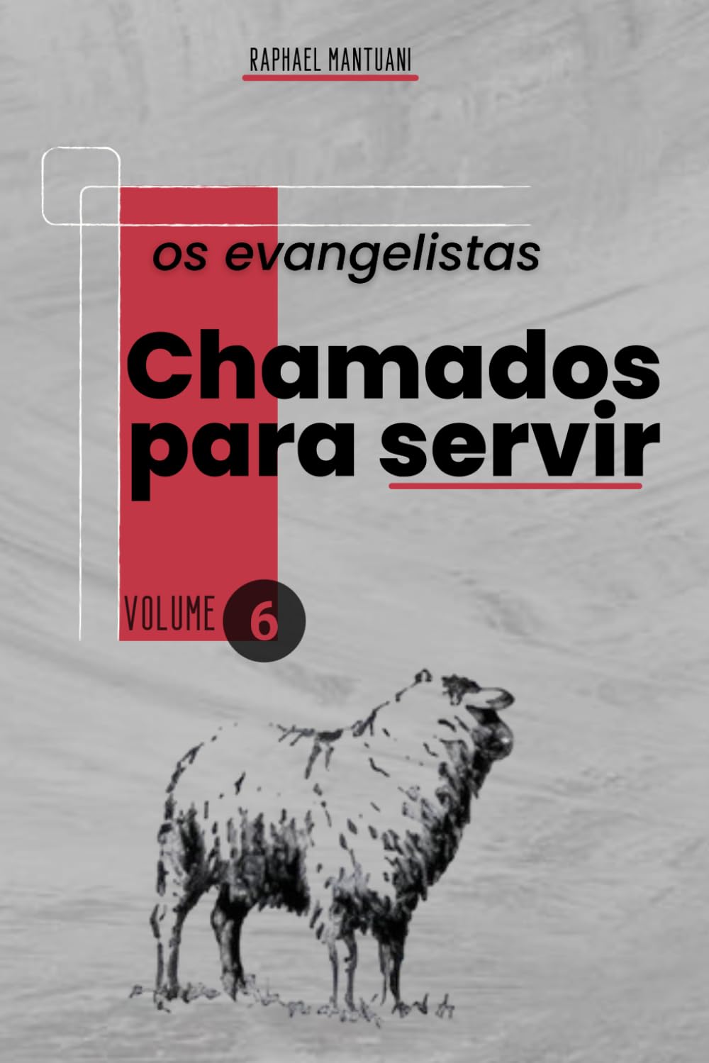 Chamados para servir - os evangelistas