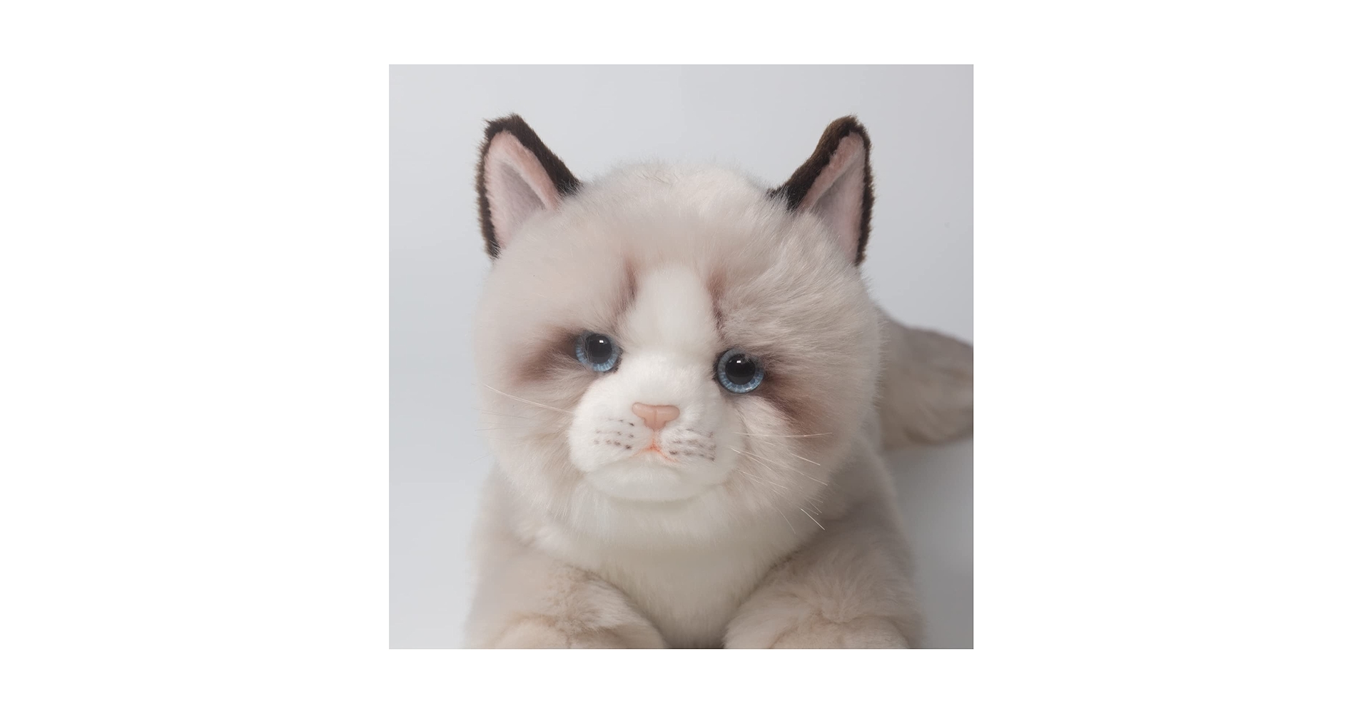 花井祐介 ACME Furniture STUFFED CAT with BOX 花井祐介 ACME Furniture STUFFED CAT with BOX 花井祐介 ACME