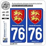 Version pour plaques AUTO - Dimensions Officielles : H 9,80 cm x L 4,50 cm et découpés à la forme avec les angles arrondis. (pour toutes autres dimensions ou formes nous contacter)