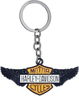 GenericStainless Steel Car Keychain - Universal Keychain for Car, Bike, Home, Office | Durable Birthday Gift for Friends, Men, Women | Metal Keyring
