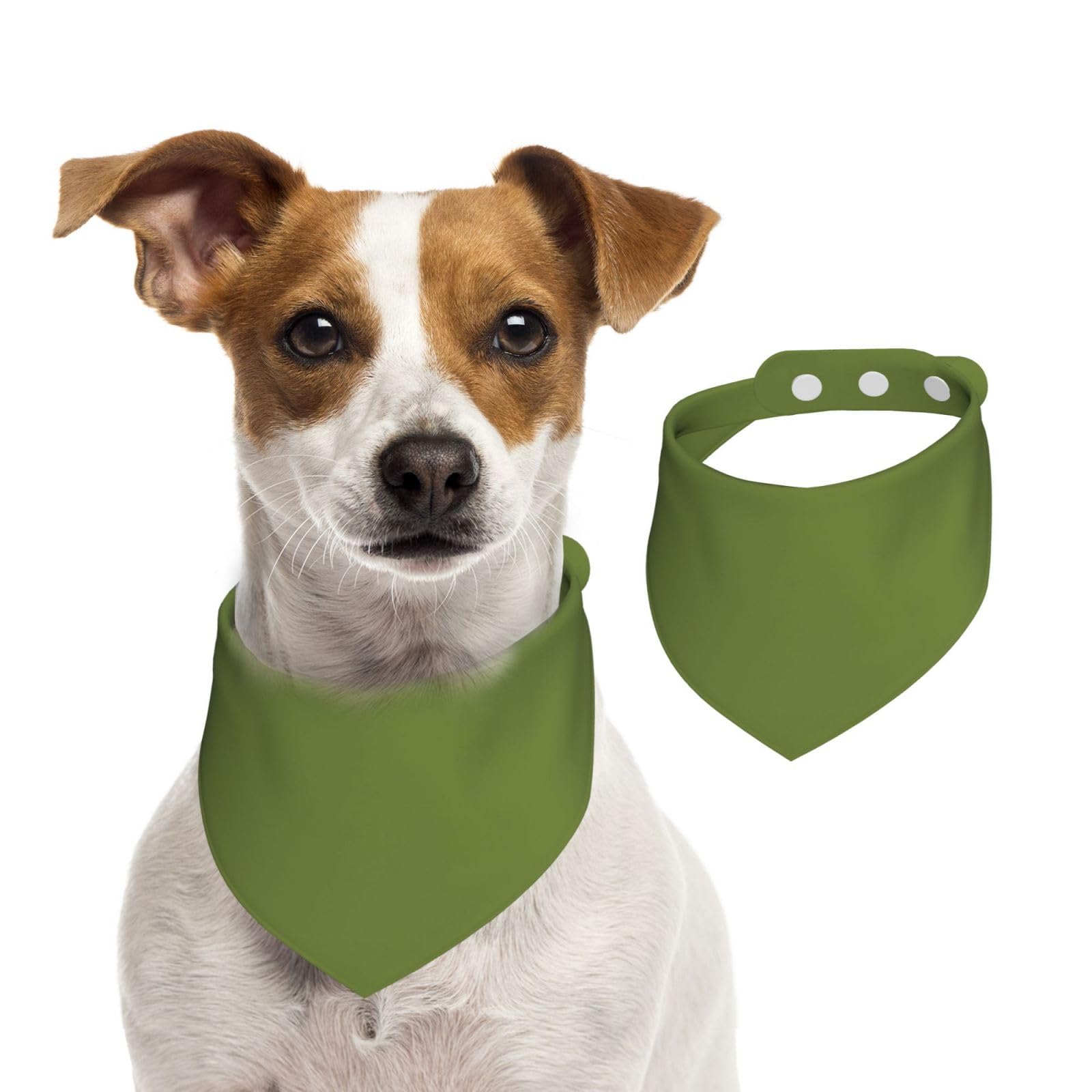 Green Double Sided Dog Bandanas - Cotton Reversible Pet Scarf for Small Large Dogs - Unique Print Puppy Accessories