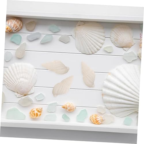 Miniatura 5 de Inicio Accesorios Adornos para decoración de flores 100 piezas Decoración de mesa de boda Conchas marinas a granel Conchas marinas naturales