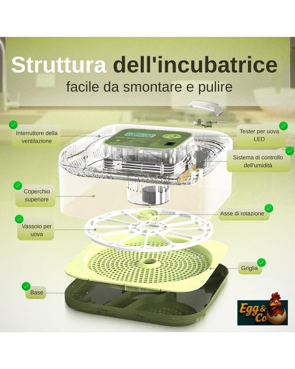 Egg&Co Start 12 – Incubatrice automatica 12 uova gallina (36 quaglia). Controllo umidità preciso, rotazione automatica, flacone e sperauova inclusi. Ideale per principianti ed esperti.