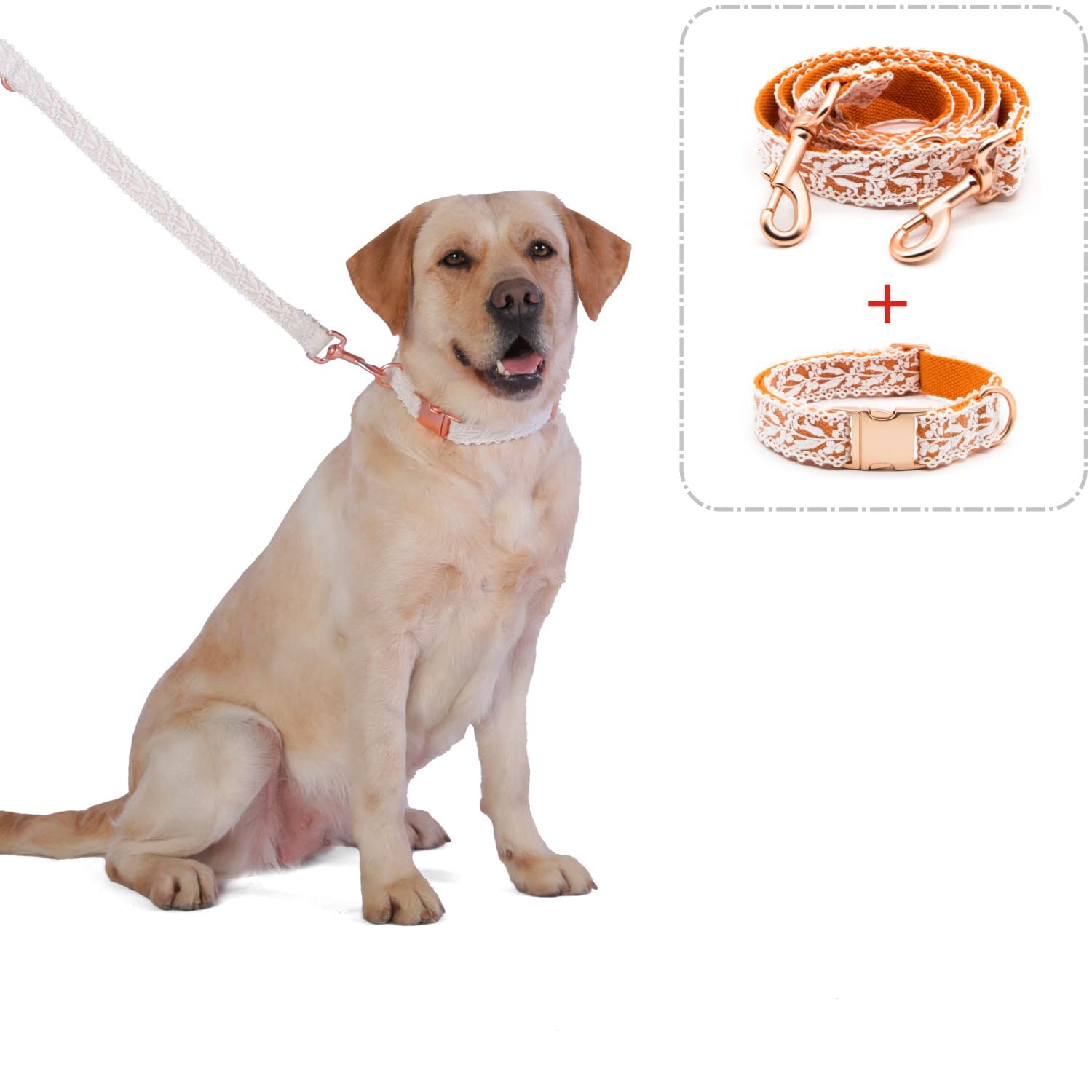 Juego de collar y correa para perro, encaje de algodón, hecho a mano, ajustable, cómodo, único, collares y correas para perros y gatos pequeños, medianos y grandes