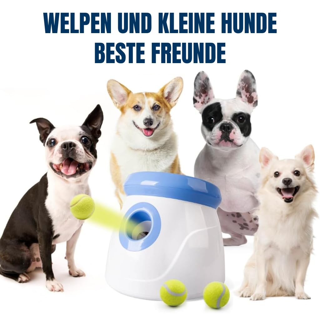 BOT automatischer Ballwerfer Ifetch, inkl. 3Stk Hundebälle. Interaktives Hundespielzeug Ballwurfmaschine kleine Hunde (Mini 5cm - Blue)