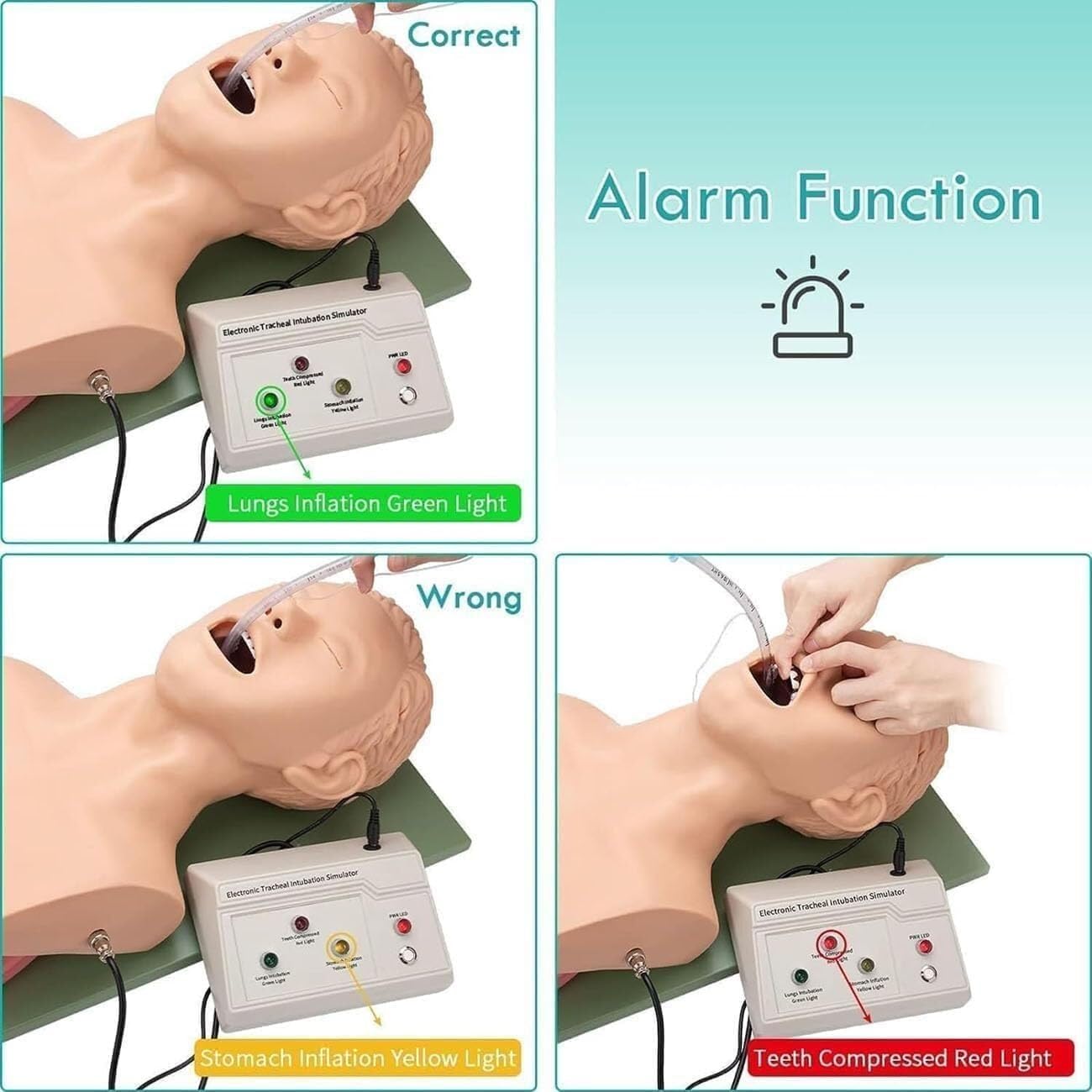 Simulatore di addestramento for la testa for intubazione tracheale for adulti Modello Trainer for la gestione delle vie aeree for intubazione nasale orale Silicone elettronico in PVC