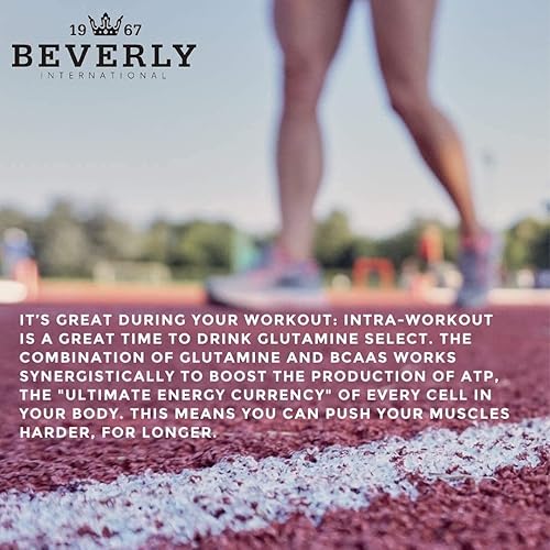 Miniatura 5 de Beverly International Glutamine Select 60 porciones Glutamina clínicamente dosificada y fórmula BCAA para músculo magro y recuperación Sin azúcar