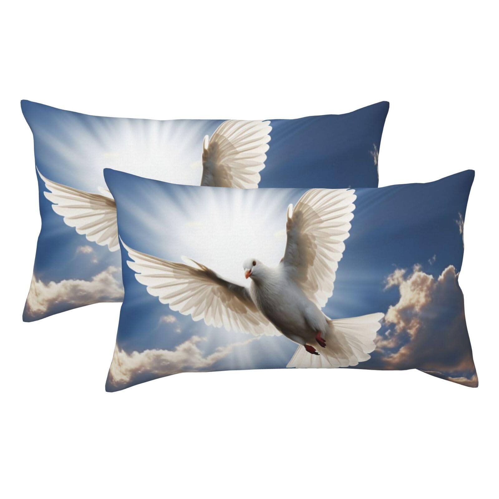 2 Pack King Pillow Cases with Hidden Zipper, Soft Breathable Pillow Covers for Hair and Skin, Dove Sky Pillowcases 20"x36" Bed Pillow Protectors Cover for Sleeping Gifts