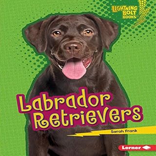 Labrador Retrievers cover art