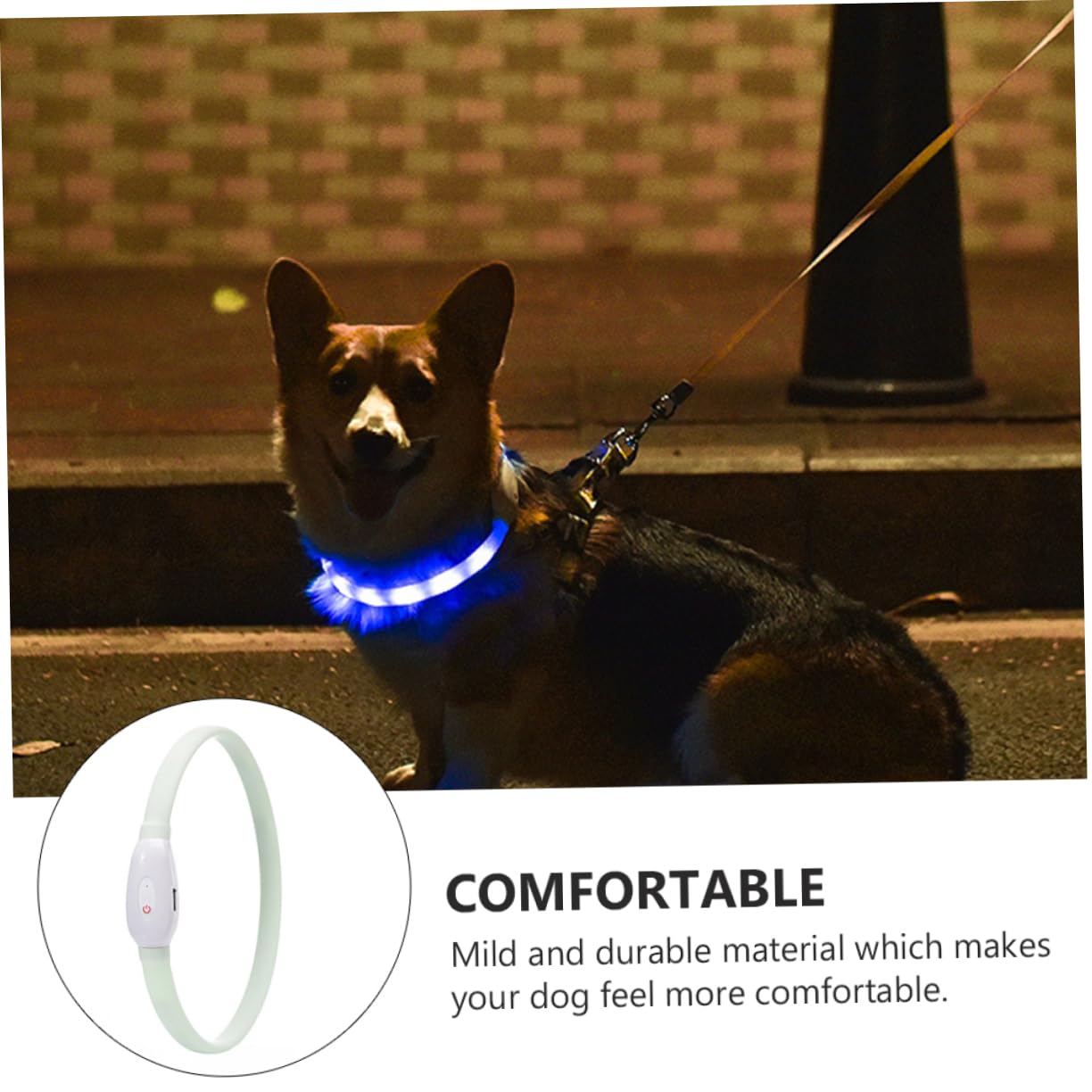 Kisangel 3ensembles Collier LED Lumineux pour Chien USB Rechargeable Ajustable Mode De Lumière Multiple Sécurité Nocturne pour Animaux De Compagnie