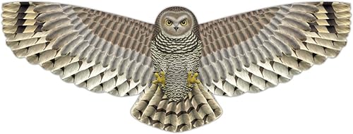 XKites Birds of Prey Owl Deluxe - Cometa de nailon, cuerda y mango de 48 pulgadas