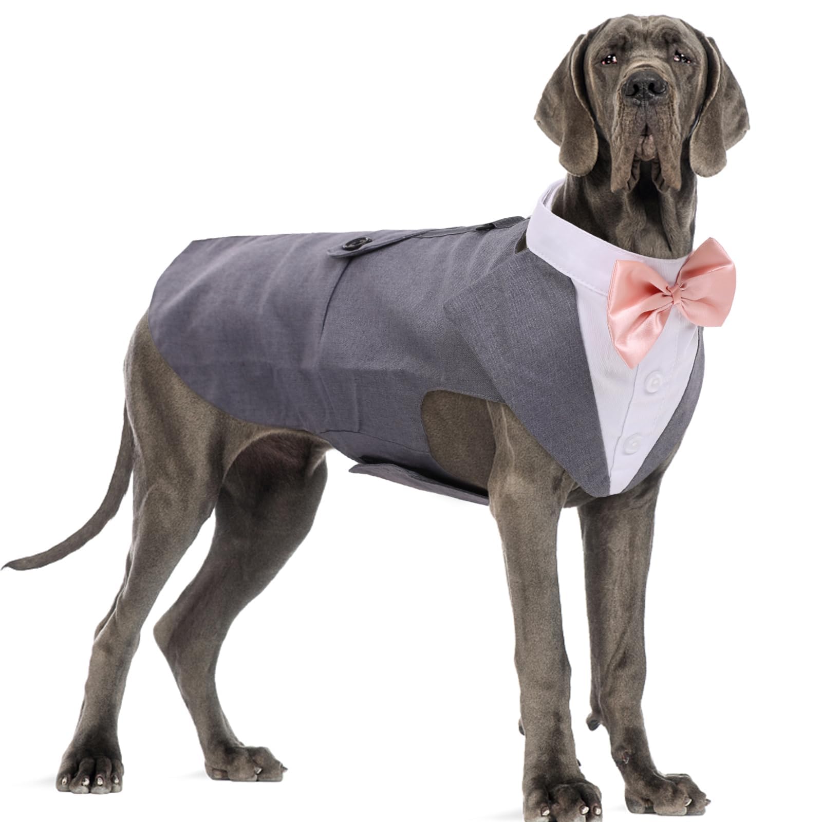 DORA BRIDAL Tuxedo
