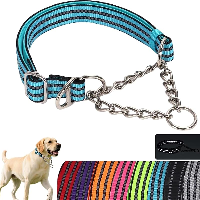 Coleira Martingale para Cães Médios com Corrente Refletiva Teal PSPORT M