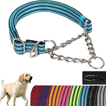 Dog Collar for Large Dogs, Reflective Dog Chain Collars Teal, L