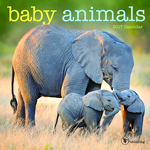 TF Publishing 2017 Baby Animals Mini Calendar (17-2000)