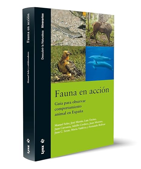 Fauna en acción