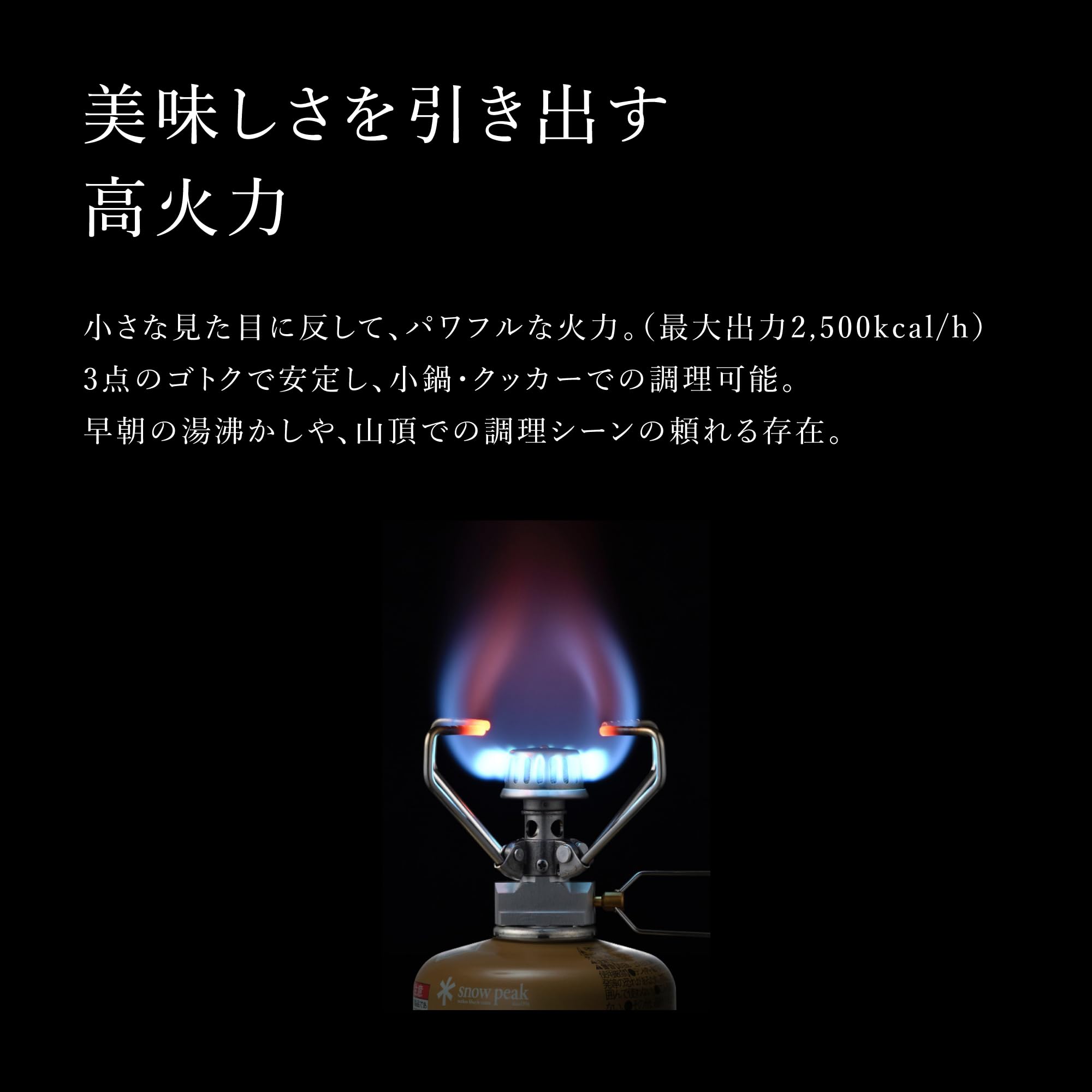 Amazon.com: Snow Peak Giga Power StoveAuto Renewed, GS-100AR2-US