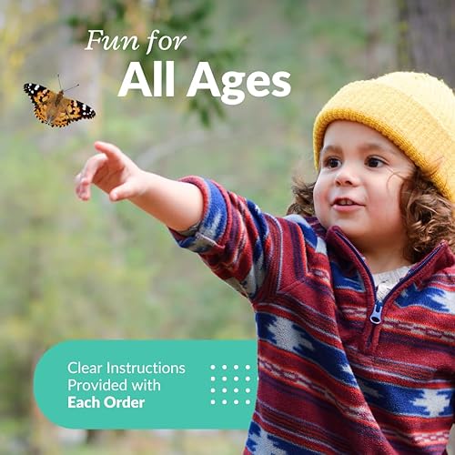 Miniatura 7 de Clearwater Butterfly - Mariposas pintadas en vivo, kit de cultivo de mariposas con orugas vivas, jaula de malla incluida, hábitat de mariposas, 10