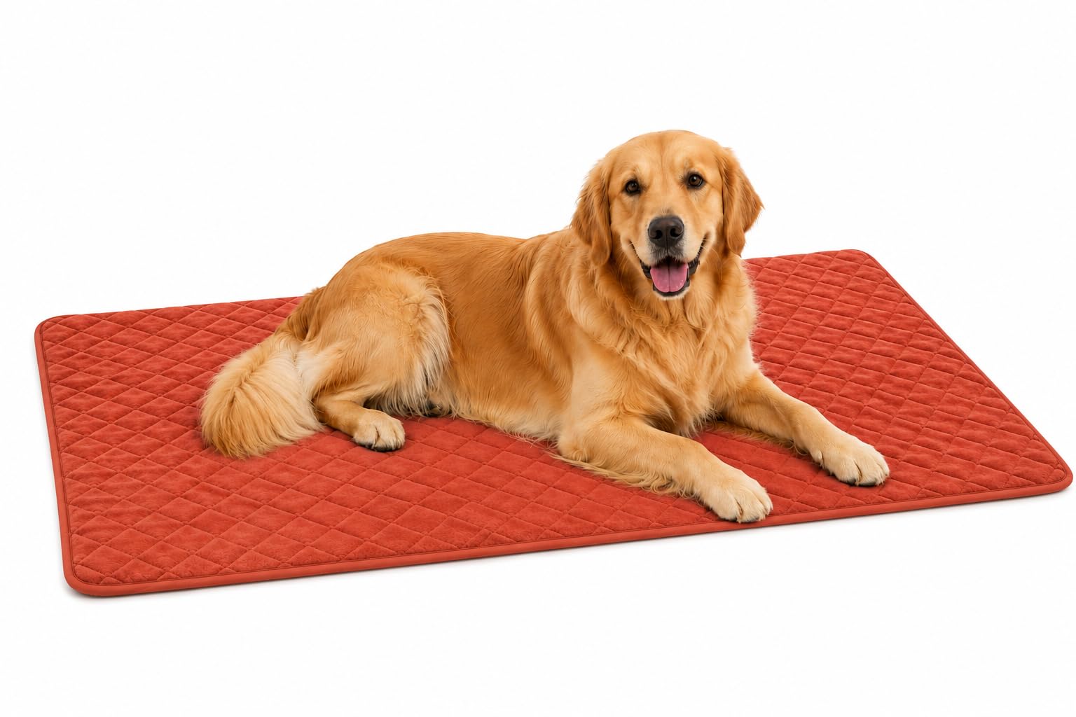 Coussin pour chien orthopédique soulagement articulaire Weimar Cognac XXL grand