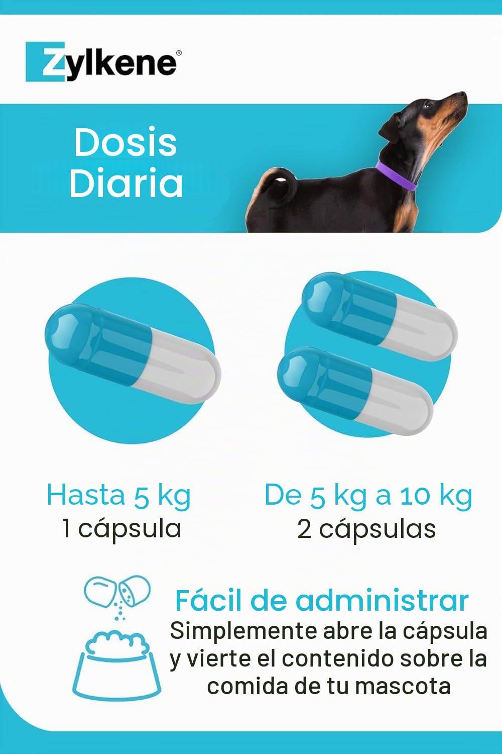 Zylkene Pienso Complementario | Gatos y Perros de hasta 10 kg | Relajante para situaciones de malestar | 100 cápsulas de 75 MG
