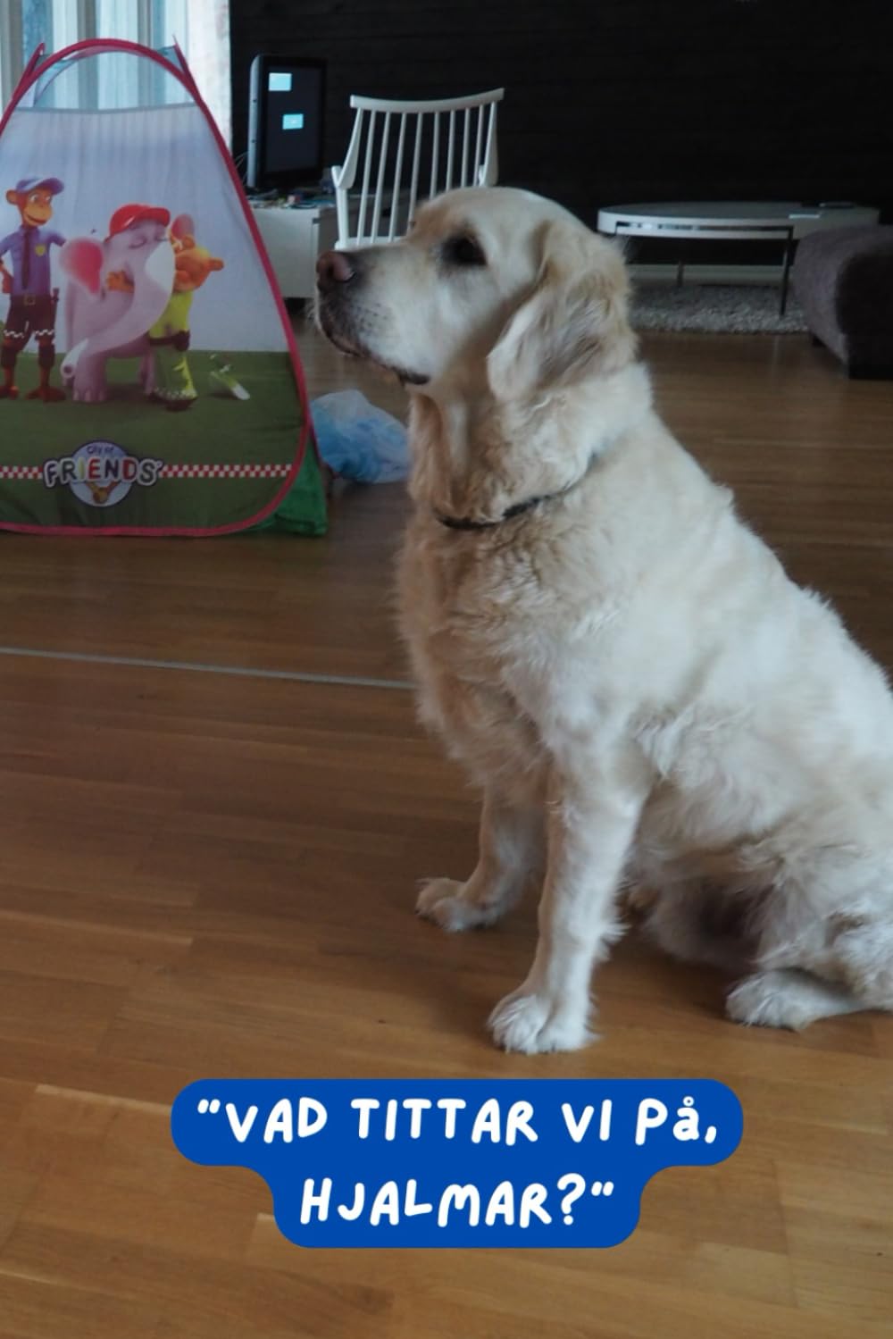 Vad Säger Djur?: Ettan