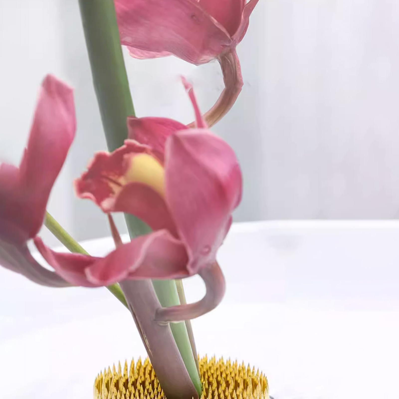 Amazon.com: Flower Frog Stainless Steel Pin Frog Flower