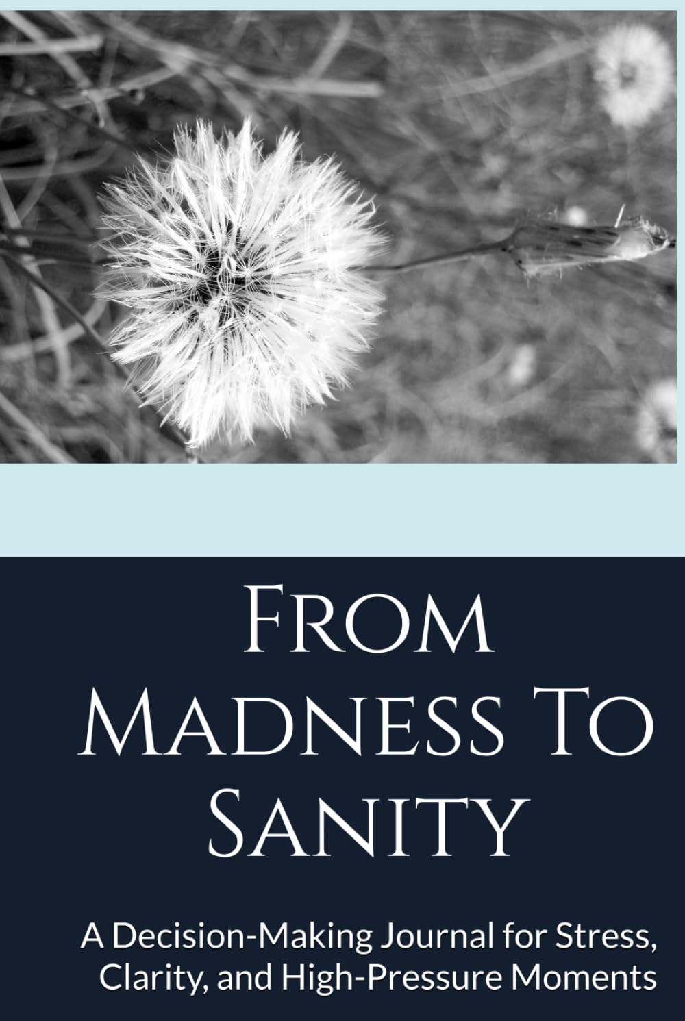 From Madness To Sanity: A Decision-Making Journal for Stress, Clarity, and High-Pressure Moments