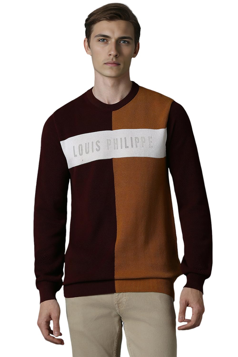Men's Cotton Crew Neck Sweater (LYSWCRGP688438_Brown