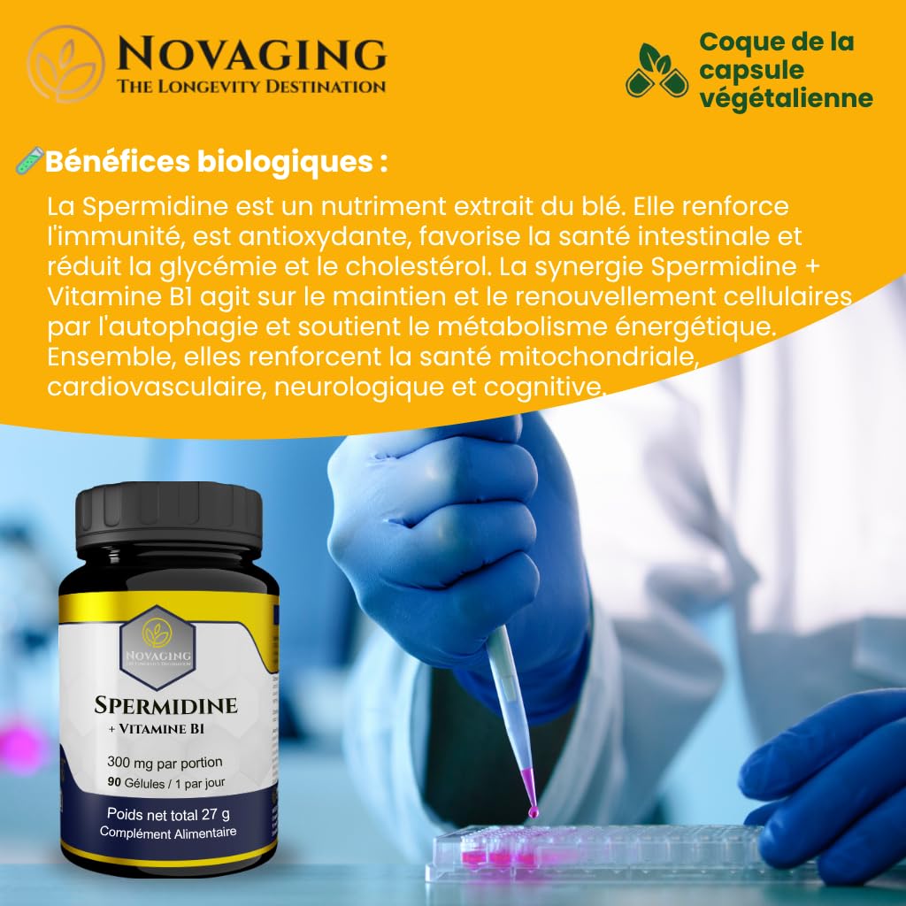 Spermidine 6 mg + Vitamine B1, Régulation cellulaire. 90 Gélules Vegan | NovAging© Haute qualité. 3 mois de cure. Précisement dosé. Testé sans Gluten, OGM ni allergènes.